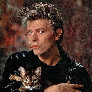 Image for 'David Bowie'