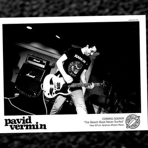 Image for 'Pavid Vermin'