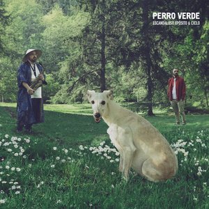 Imagem de 'PERRO VERDE'