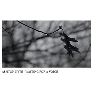 Immagine per 'Waiting for a Voice'