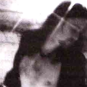 Image pour 'P. Emerson Williams'