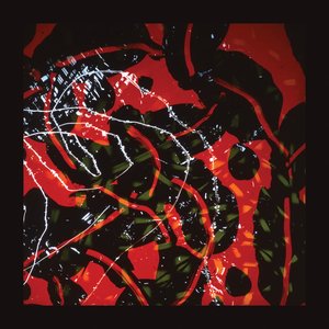 Image for 'Nerve Net'