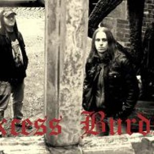 Изображение для 'Excess Burden'