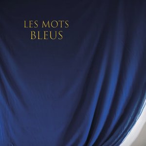 Image for 'Les mots bleus'