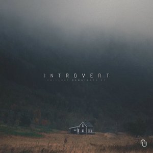 Image for 'Introvert'