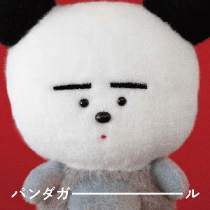 Image for 'パンダガール'