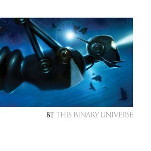 Image for 'This Binary Universe'