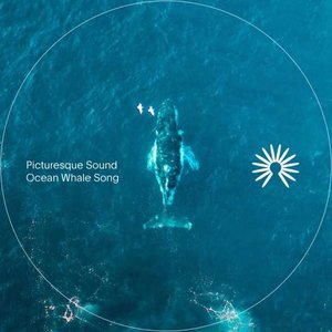 Изображение для 'Picturesque Sound'