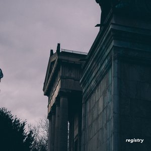“registry”的封面