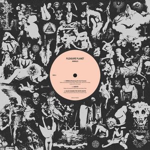 Image for 'Pleasure Planet'