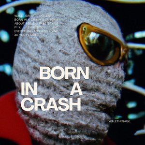 Image for 'Born In A Crash'