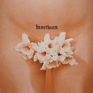 'Heartburn'の画像