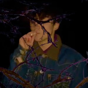 “ethosss”的封面