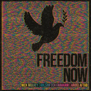 Image for 'Freedom Now'