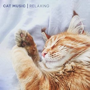 “Cat Music - Relaxing Songs for Cats and Kittens”的封面