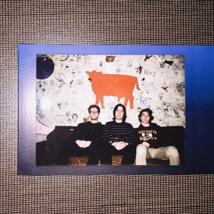 “INCONSISTENT”的封面