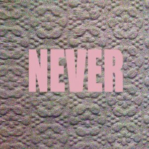 Image for 'Never'