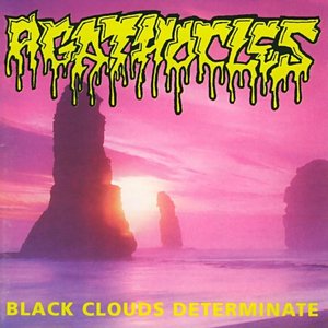 Image for 'Black Clouds Determinate'