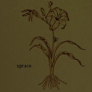Image for 'Sprain'