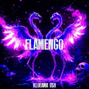 Image for 'FLAMENGO'