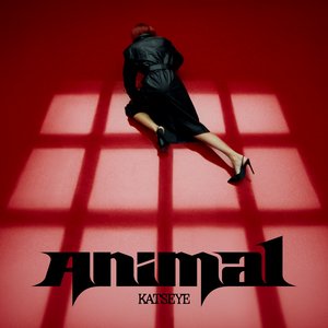 Immagine per 'Animal'