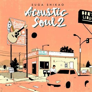 Bild för 'Acoustic Soul 2'