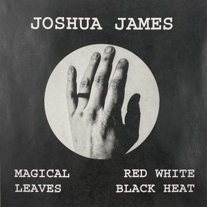 'Magical Leaves Red White Black Heat' için resim
