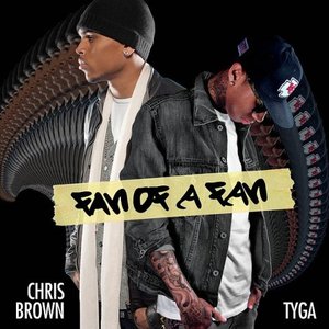 Image for 'Dj Ill Will & DJ Rockstar Present Chris Brown & Tyga - Fan Of a Fan'