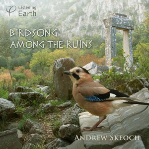 Image for 'Birdsong Among the Ruins'