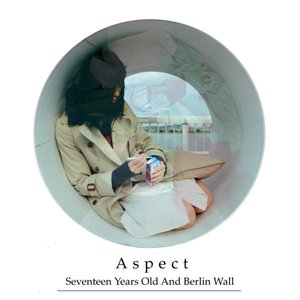 Image for 'Aspect'