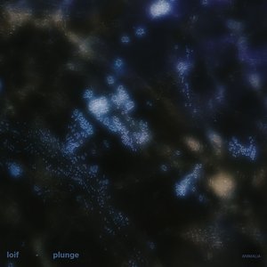Image for 'Plunge'