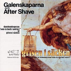 Image for 'Grisen i säcken'