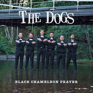 Image for 'Black Chameleon Prayer'