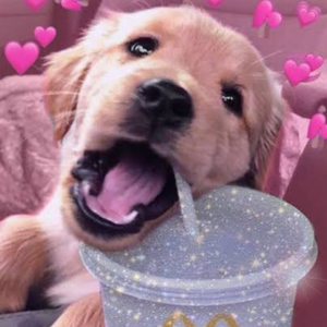 problempuppy
