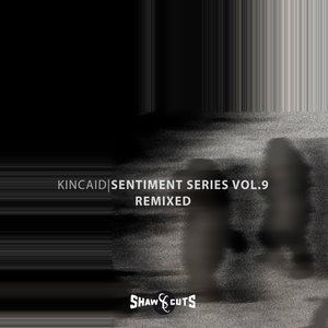 Immagine per 'Sentiment Series Vol.9 - Remixed'