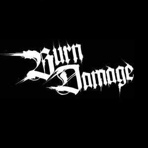 Image for 'Burn Damage'