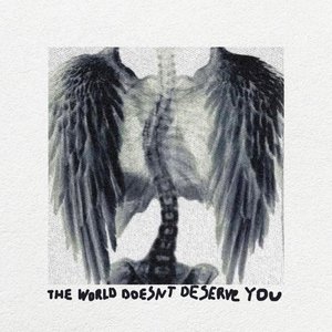 Image for 'The World Doesn't Deserve You'