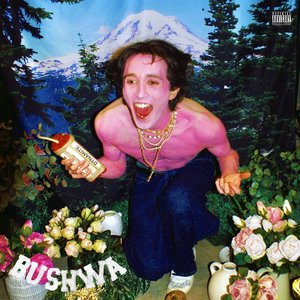 “BUSHWA”的封面