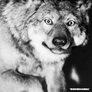 'Bodhidharma'の画像