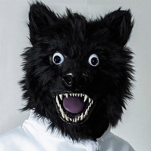 Image for 'ANIMAL FKRY'