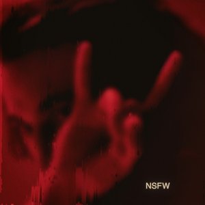 “NSFW”的封面
