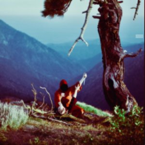 Image for 'Don Luxe'