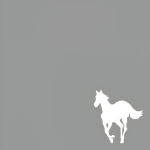 Image for 'White Pony'