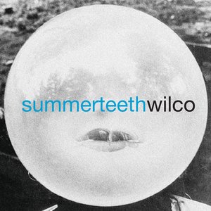 “summerteeth”的封面