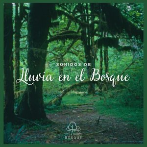 Image for 'Sonidos de Lluvia en el Bosque'