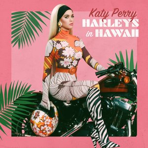 Image for 'Harleys in Hawaii - Single'