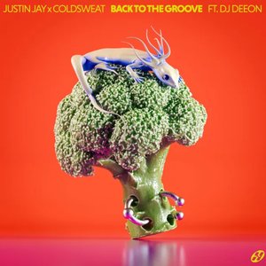 “Back to the Groove”的封面
