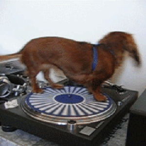 blkmagik98