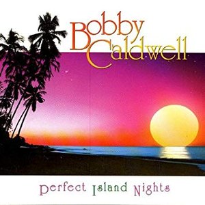 Image for 'Perfect Island Nights'