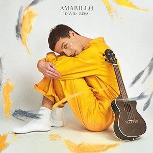 “Amarillo”的封面